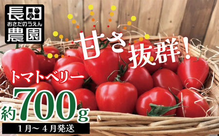 【お試し】甘さ抜群!トマト嫌いでも食べられるトマトベリー 700g（1月～4月発送） H004-091
