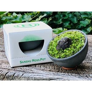 三州モスポット(sanshu moss pot) 【1093948】