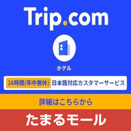 "Trip.com(国内・海外ホテル)"のショートカットアイコン